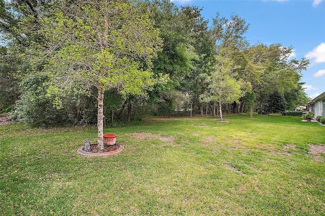 3828 Arbordale Ct, Leesburg, FL 34748 - view of yard