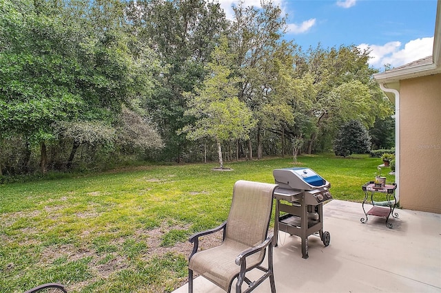 3828 Arbordale Ct, Leesburg, FL 34748 - view of yard with a patio area