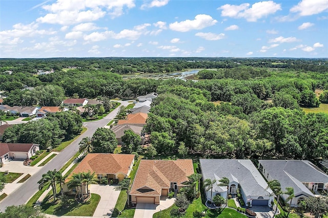 3828 Arbordale Ct, Leesburg, FL 34748 - birds eye view of property with a view of trees and a residential view