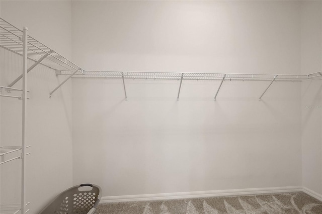 6248 Siverson Ter, The Villages, FL 32163 - spacious closet with carpet floors