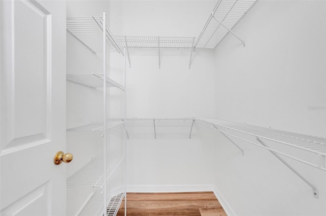 9081 Saint Andrews Way, Mount Dora, FL 32757 - spacious closet featuring wood finished floors