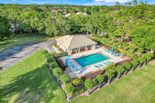 9081 Saint Andrews Way, Mount Dora, FL 32757 - view of subject property featuring a pool area and a forest