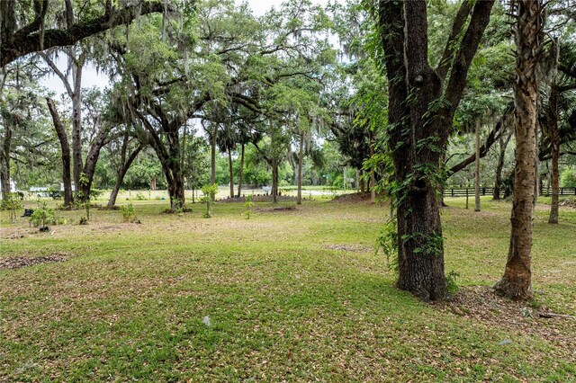 7938 Jacksons River Rd, Leesburg, FL 34788 - photo 29
