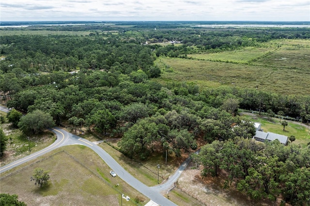 7938 Jacksons River Rd, Leesburg, FL 34788 - photo 30