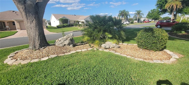 view of yard with a residential view