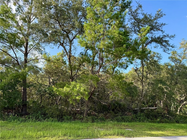 LOT28 Alder Ct, Eustis, FL 32736 - photo 2