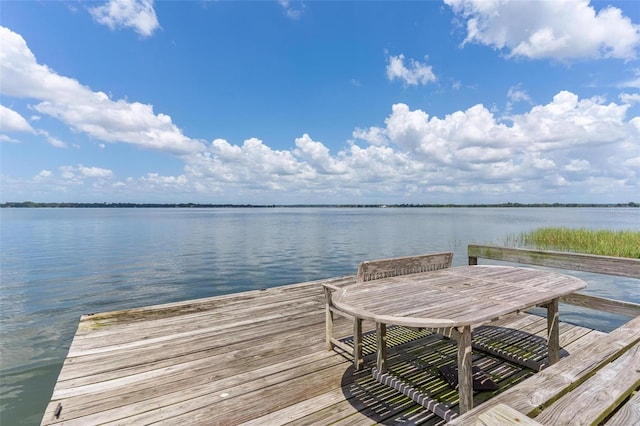 16047 E Shirley Shores Rd, Tavares, FL 32778 - photo 3