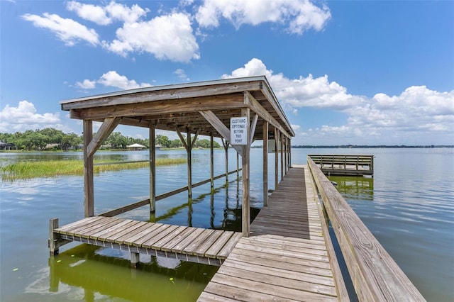 16047 E Shirley Shores Rd, Tavares, FL 32778 - photo 51
