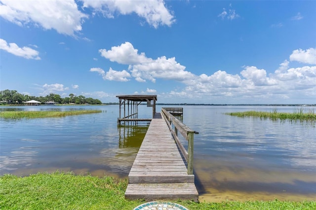 16047 E Shirley Shores Rd, Tavares, FL 32778 - photo 54