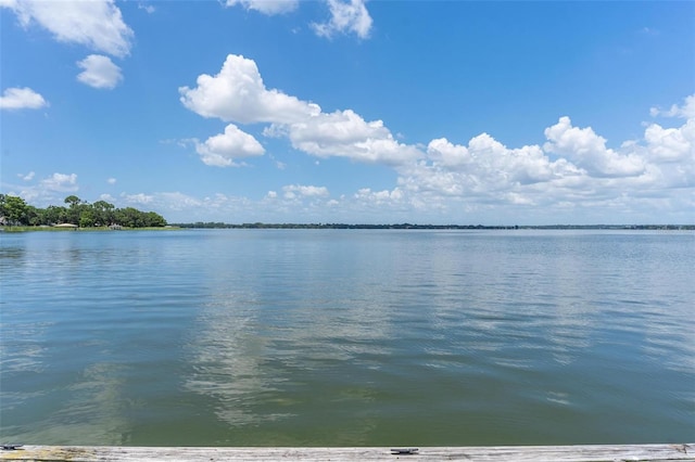 16047 E Shirley Shores Rd, Tavares, FL 32778 - photo 56
