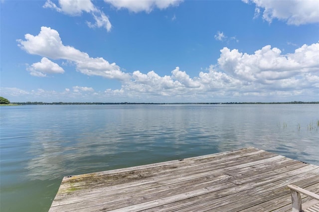 16047 E Shirley Shores Rd, Tavares, FL 32778 - photo 57