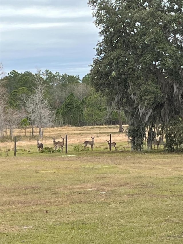 view of yard with a rural view