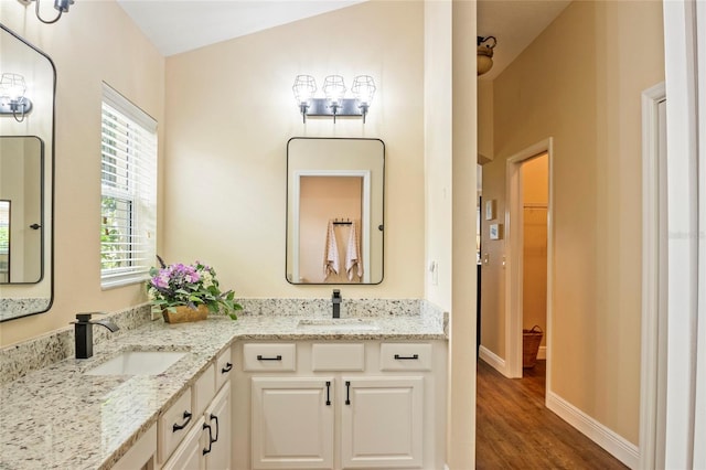 full bathroom featuring a sink, a walk in closet, double vanity, and wood finished floors