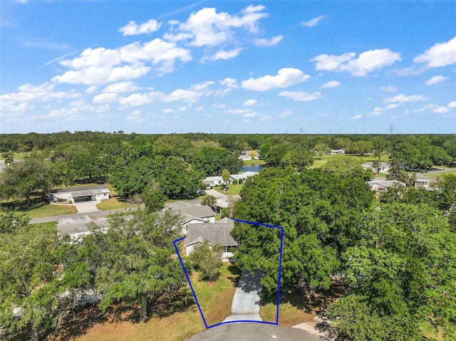 4553 Belle Grv, Leesburg, FL 34748 - photo 34