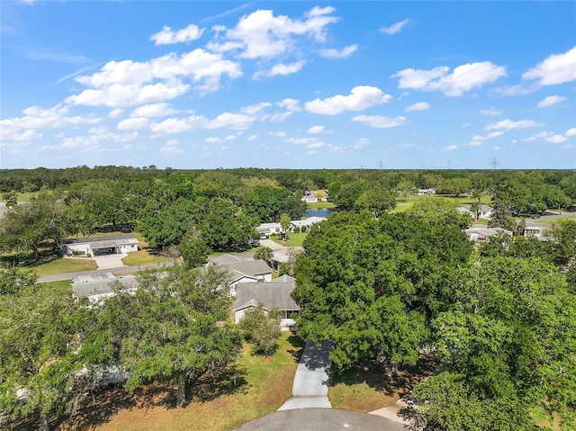 4553 Belle Grv, Leesburg, FL 34748 - photo 35