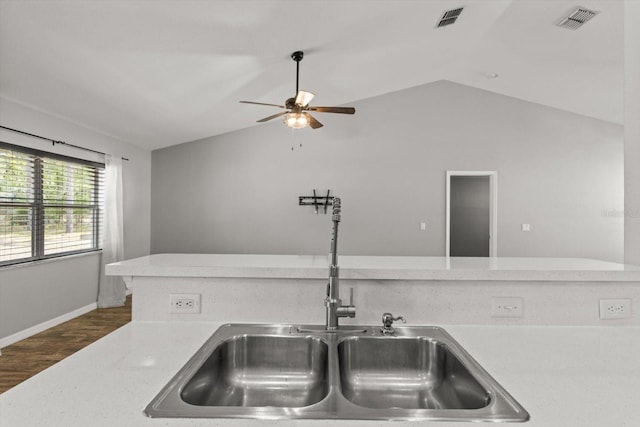 17 Eugenia Ct N, Homosassa, FL 34446 - kitchen featuring a sink, lofted ceiling, and visible vents