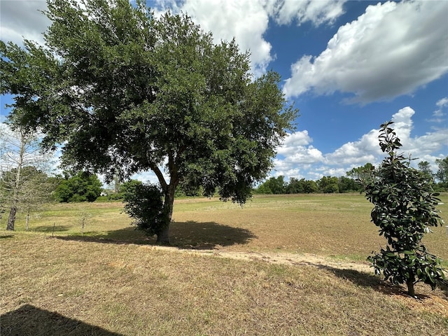 3070 Sunscape Ter, Groveland, FL 34736 - photo 23