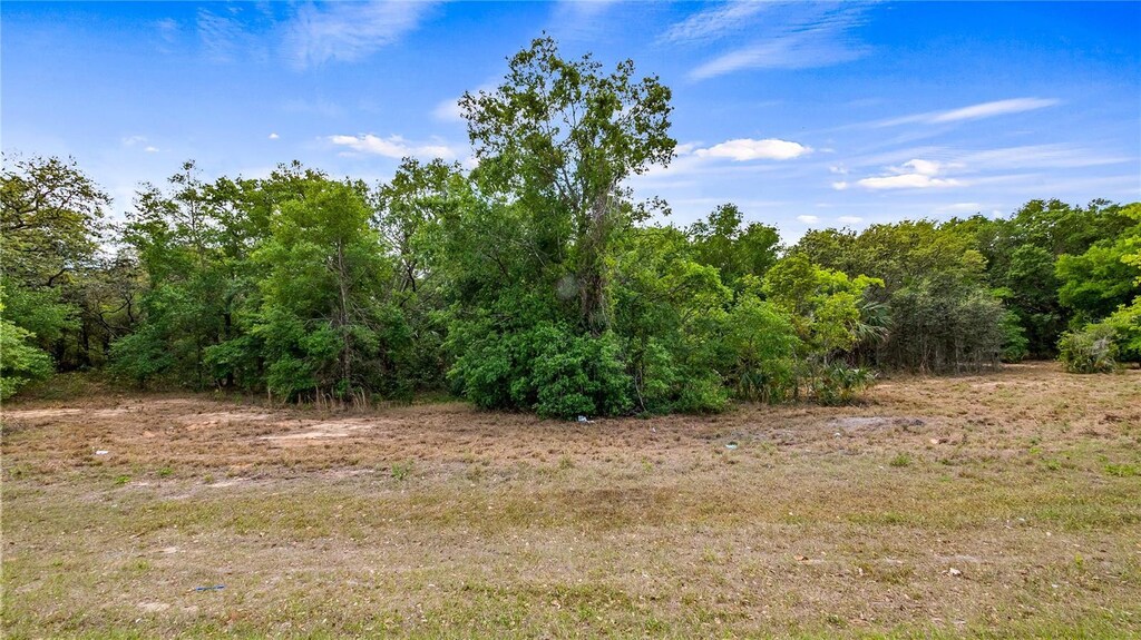 County Road 455, Montverde, FL 34756 - photo 1