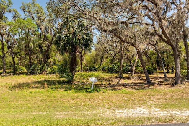 3117 Bright Lake Cir Lot 63, Groveland, FL 34736 - photo 1