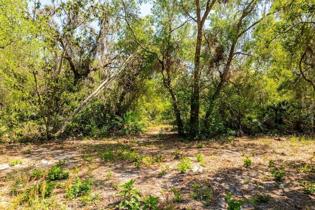 3117 Bright Lake Cir Lot 63, Groveland, FL 34736 - photo 2