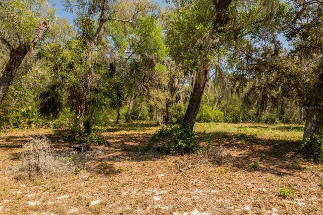3117 Bright Lake Cir Lot 63, Groveland, FL 34736 - photo 6