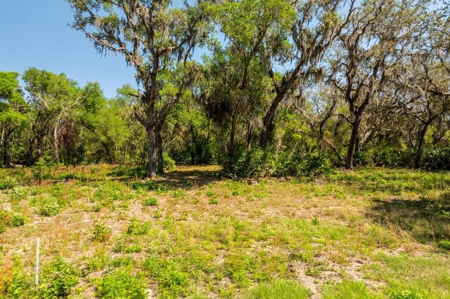 3117 Bright Lake Cir Lot 63, Groveland, FL 34736 - photo 7
