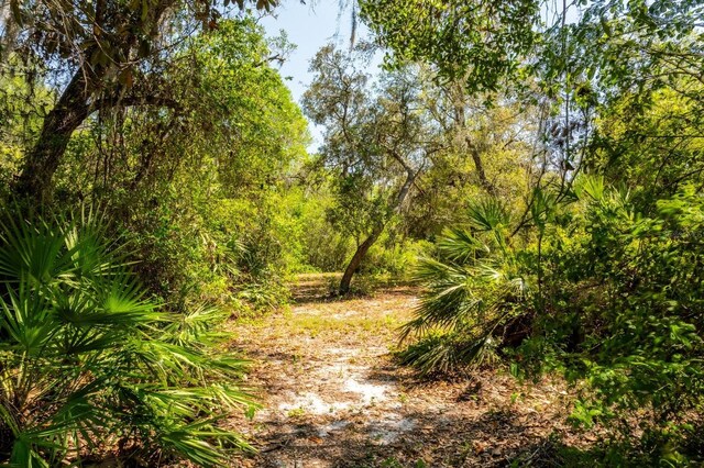 3117 Bright Lake Cir Lot 63, Groveland, FL 34736 - photo 8