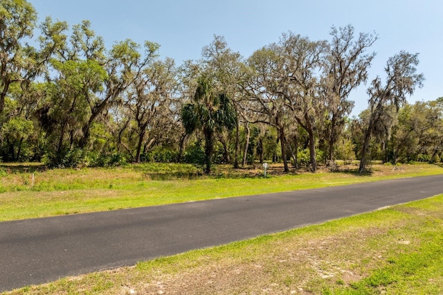 3117 Bright Lake Cir Lot 63, Groveland, FL 34736 - photo 10