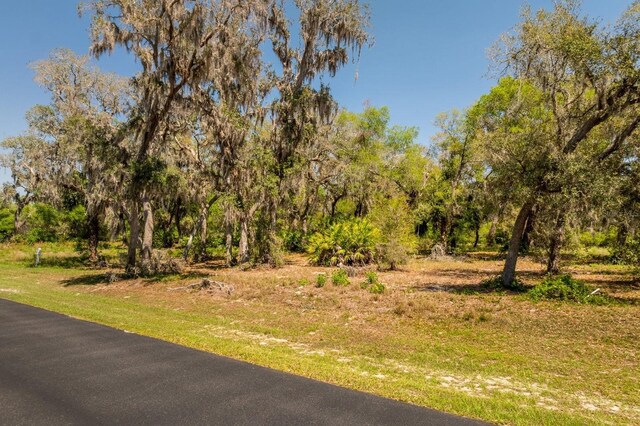 3117 Bright Lake Cir Lot 63, Groveland, FL 34736 - photo 11