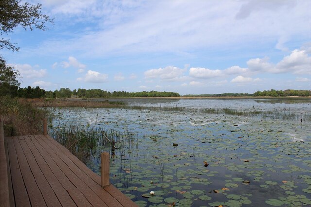 3117 Bright Lake Cir Lot 63, Groveland, FL 34736 - photo 15