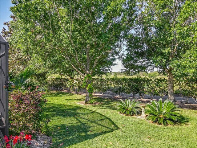 25523 Maurepas Ln, Leesburg, FL 34748 - view of yard with glass enclosure