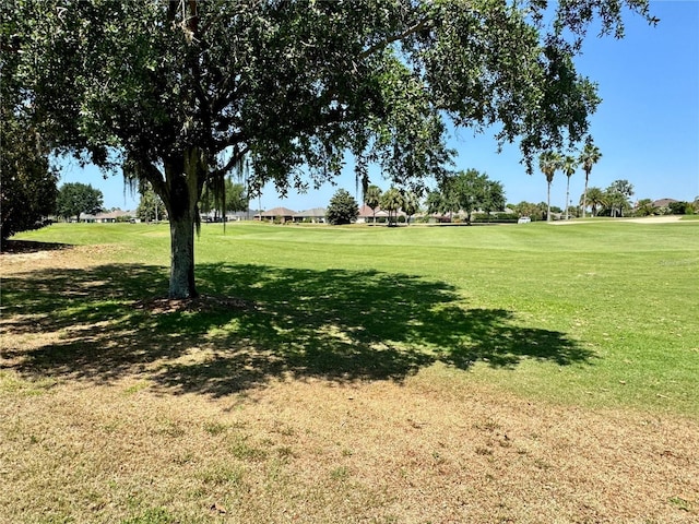 1985 Abordale Ln, The Villages, FL 32162 - view of home's community with a lawn