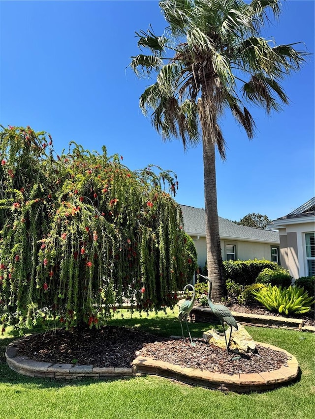1985 Abordale Ln, The Villages, FL 32162 - view of yard