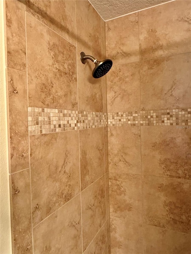 1985 Abordale Ln, The Villages, FL 32162 - details with a tile shower