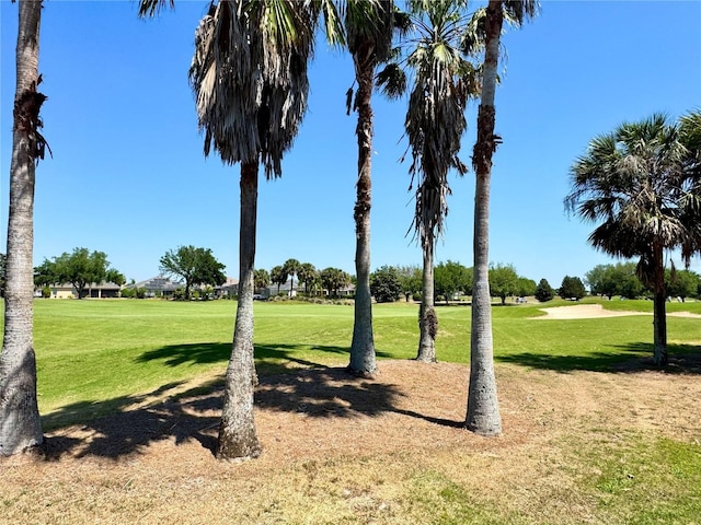 1985 Abordale Ln, The Villages, FL 32162 - view of yard