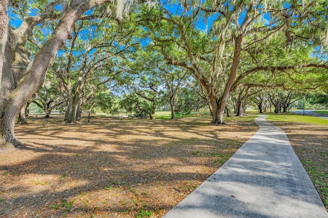 26736 Cash Ct, Leesburg, FL 34748 - photo 35