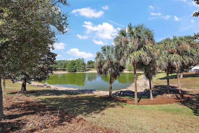 17800 SE 91st Gaylark Ave, The Villages, FL 32162 - photo 24
