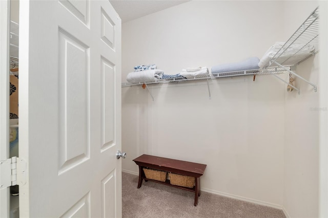 spacious closet featuring light colored carpet