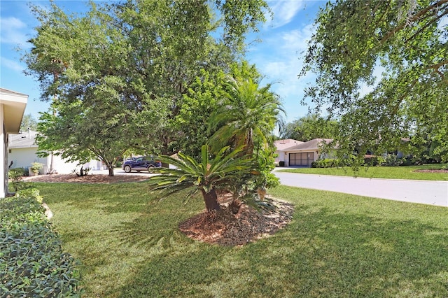 20631 Prince Ranier Pl, Leesburg, FL 34748 - photo 31