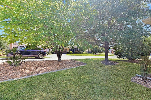 20631 Prince Ranier Pl, Leesburg, FL 34748 - photo 32