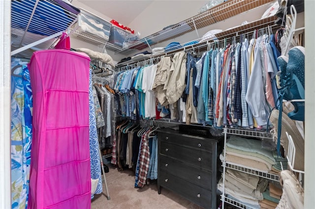 6608 Borg, Leesburg, FL 34748 - spacious closet with carpet