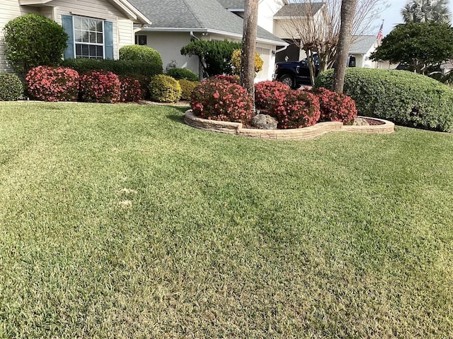 6608 Borg, Leesburg, FL 34748 - view of yard