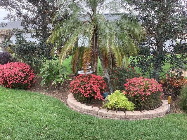 6608 Borg, Leesburg, FL 34748 - view of yard