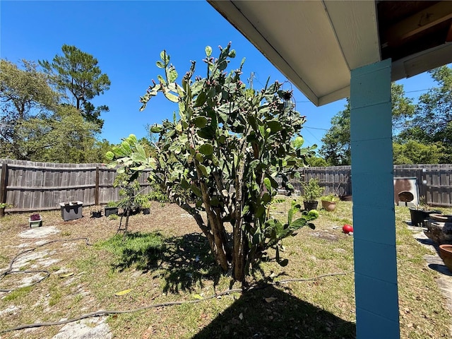 view of yard featuring a fenced backyard