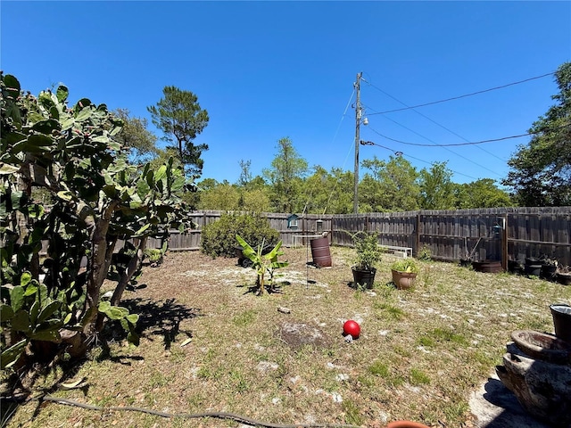 view of yard featuring a fenced backyard