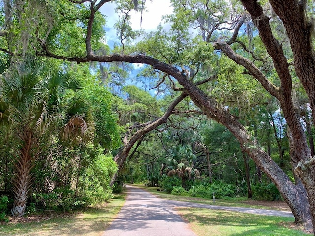 view of property's community featuring a view of trees