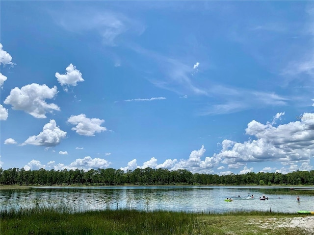 water view with a wooded view