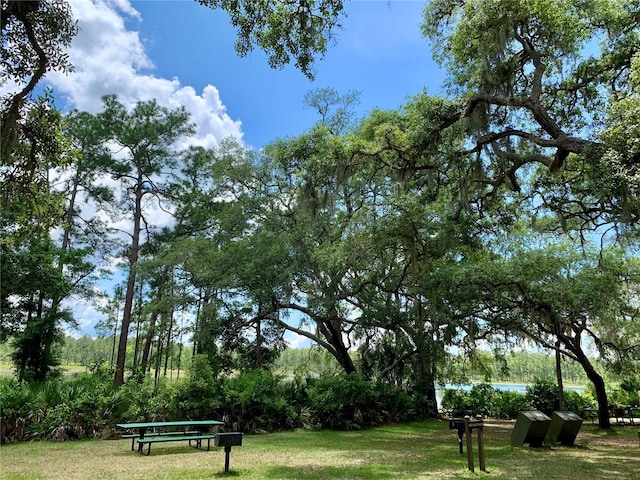 view of property's community featuring a yard