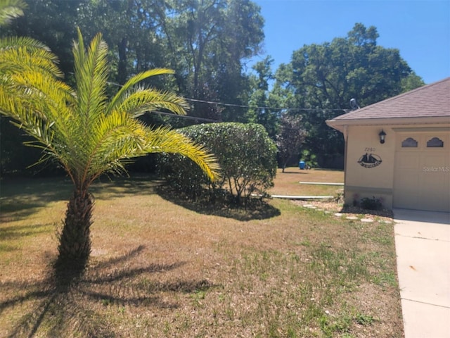 view of yard featuring driveway