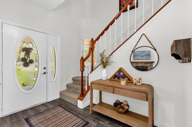 10901 Island Grove Rd, Clermont, FL 34711 - foyer with stairs, plenty of natural light, and dark wood-type flooring